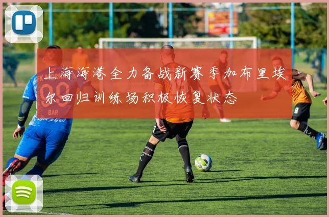 上海海港全力备战新赛季加布里埃尔回归训练场积极恢复状态