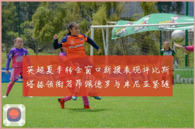 英超夏季转会窗口新援表现评比斯塔赫领衔若昂佩德罗与库尼亚紧随其后